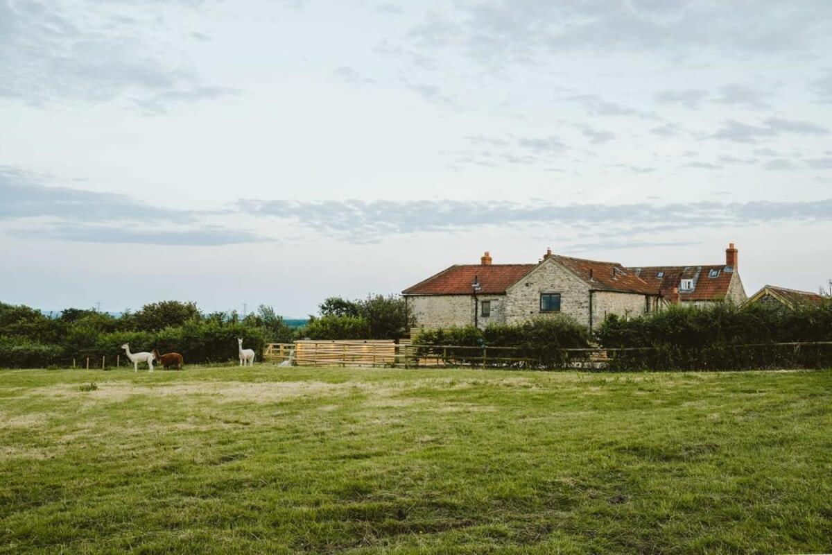 The Stable- Hopewell Villa Bristol Kültér fotó
